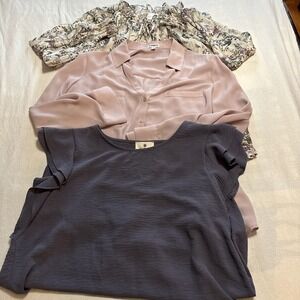 Women's SZ XL Lot of 3 Blouses Pastel Colors Casual Careerwear Office Sheer